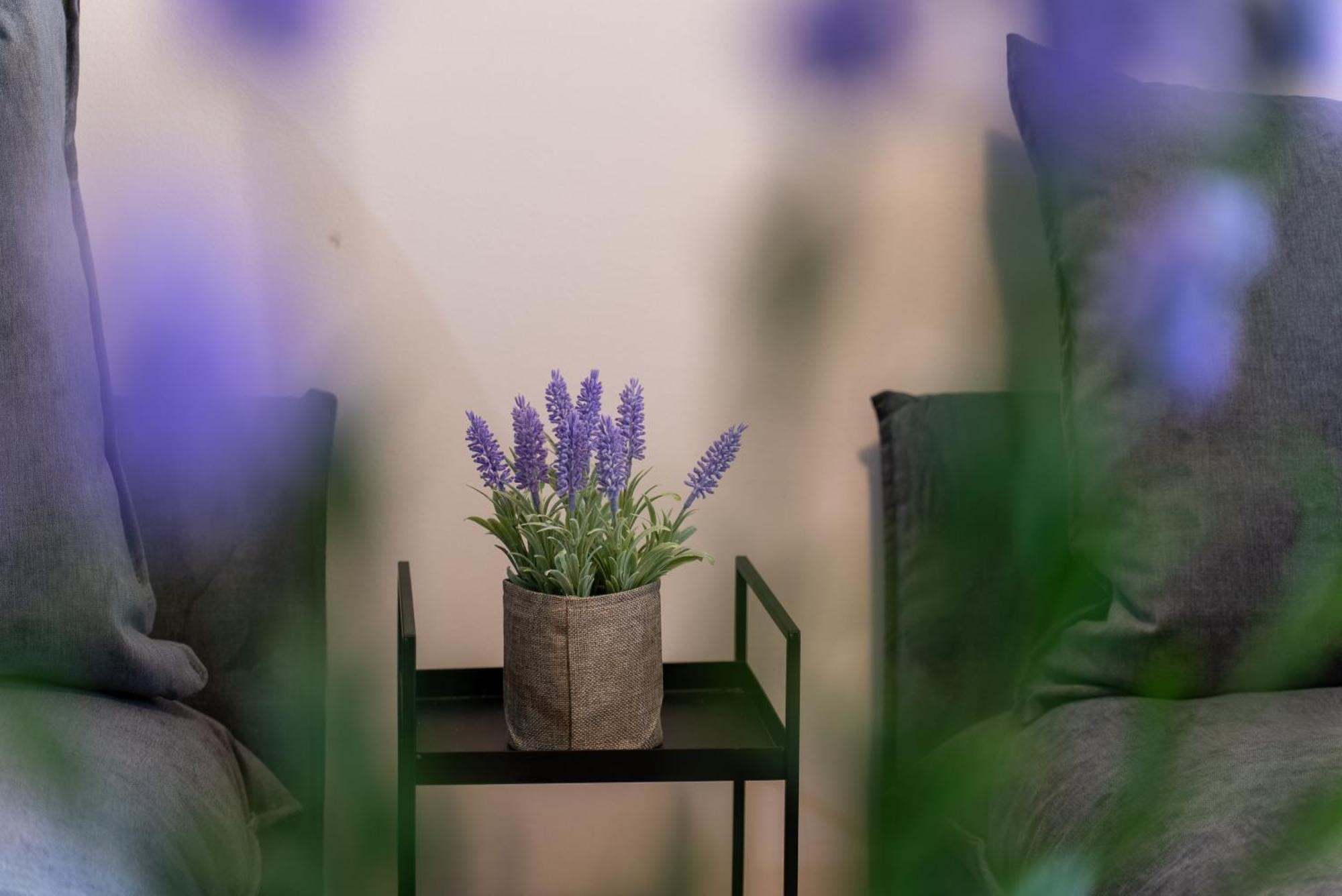 Stay Blossom Kavála Ngoại thất bức ảnh